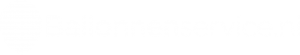 Ballonnenservice